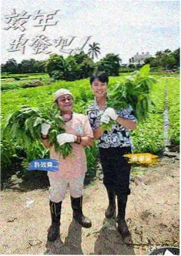 潮流合伙人